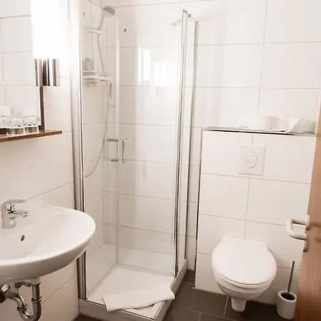 Hotel Hotel-restaurant Zum Schwalbennest 2*