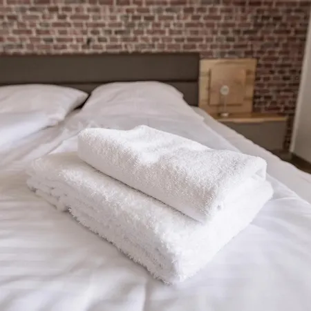 Hotel-restaurant Zum Schwalbennest 2* 알스펠트