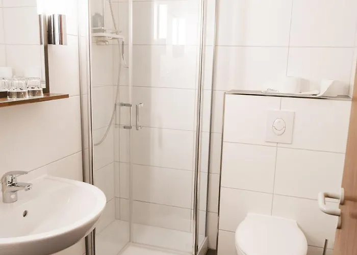 Hotel Hotel-restaurant Zum Schwalbennest 2*