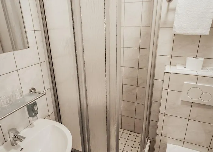 Hotel Hotel-restaurant Zum Schwalbennest