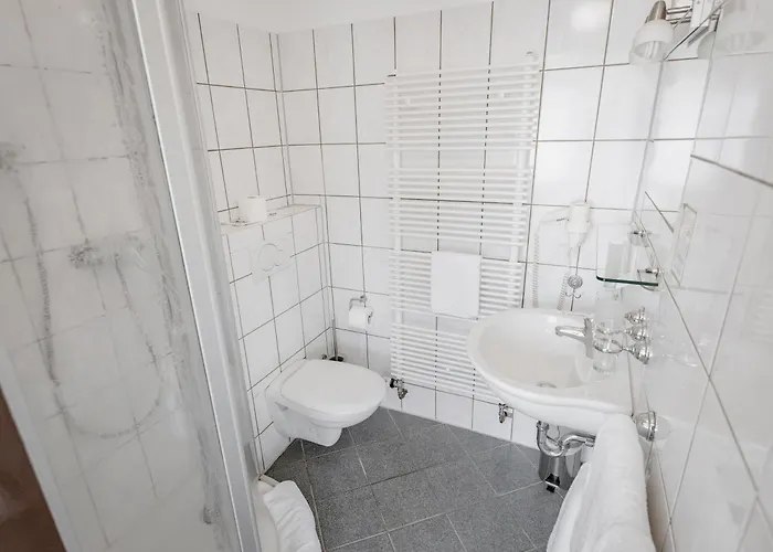 Hotel-restaurant Zum Schwalbennest 2*