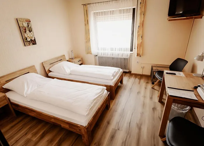 Hotel-restaurant Zum Schwalbennest Alsfeld