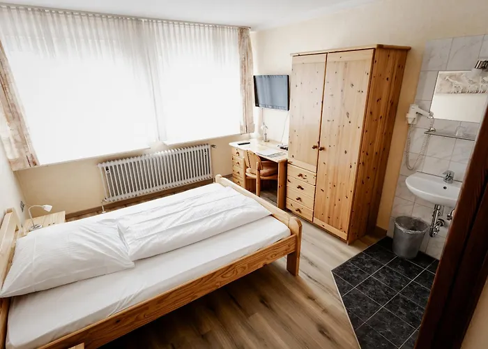 Hotel-restaurant Zum Schwalbennest 2* 알스펠트