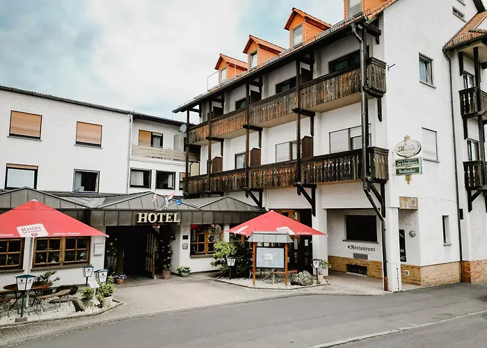 Hotel Hotel-restaurant Zum Schwalbennest