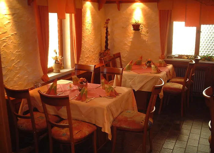 Hotel Hotel-restaurant Zum Schwalbennest